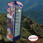 فریزر ایستاده صنعتی 60 سانت