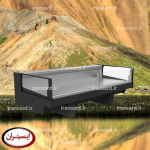 فریزر خوابیده مرغ و ماهی
